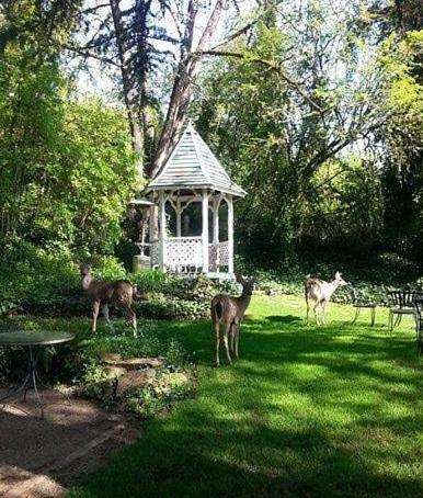The Campbell House 3*